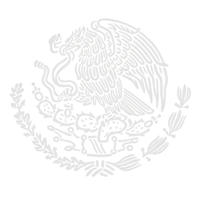 programadeafiliados.mx watermark